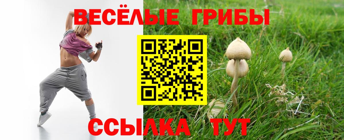 Бор  продажа наркотиков  Вход с VPN  Галлюциногенные грибы мицелий 