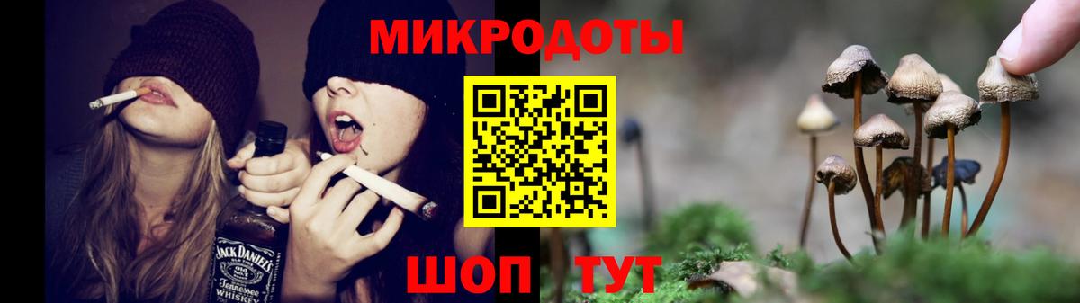 Псилоцибиновые грибы MAGIC MUSHROOMS Бор